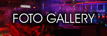 Banner Foto Gallery